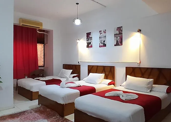 Cairo Bella House - كايرو بيلا هاوس